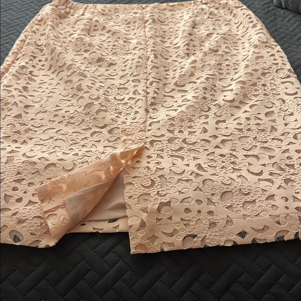 Moshita Pale Pink Lace Button two piece suit - Picture 15 of 16